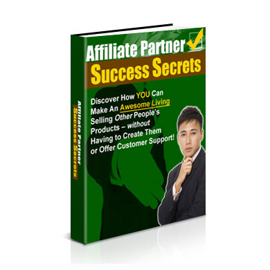 Affiliate marketing success